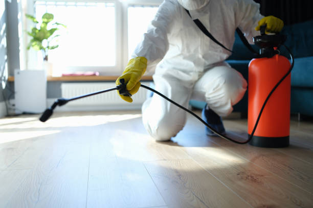 Reliable Odor Removal contractor in Fulton, NY by Trauma Clean Pros